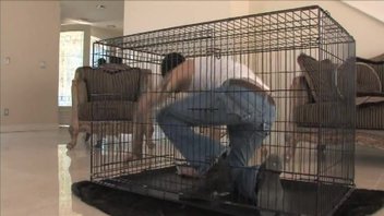 Прекрасной брюнетке захотелось поиграть с рабом