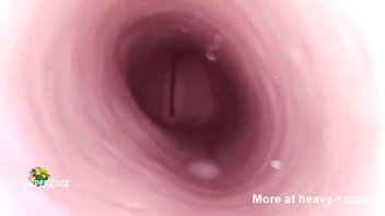 Взгляд изнутри